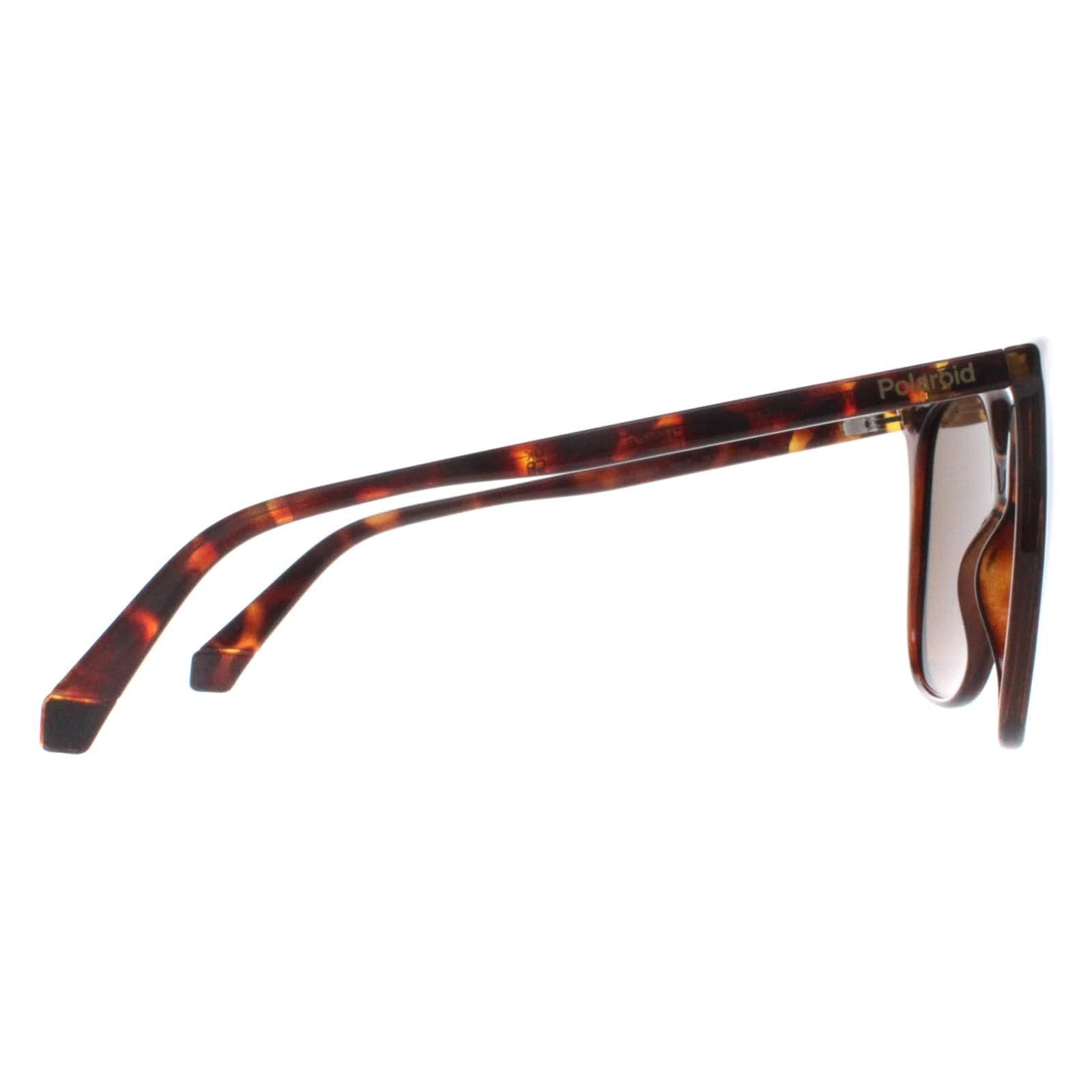 Polaroid Square Havana Bronze Polarized PLD 6218/S image 4