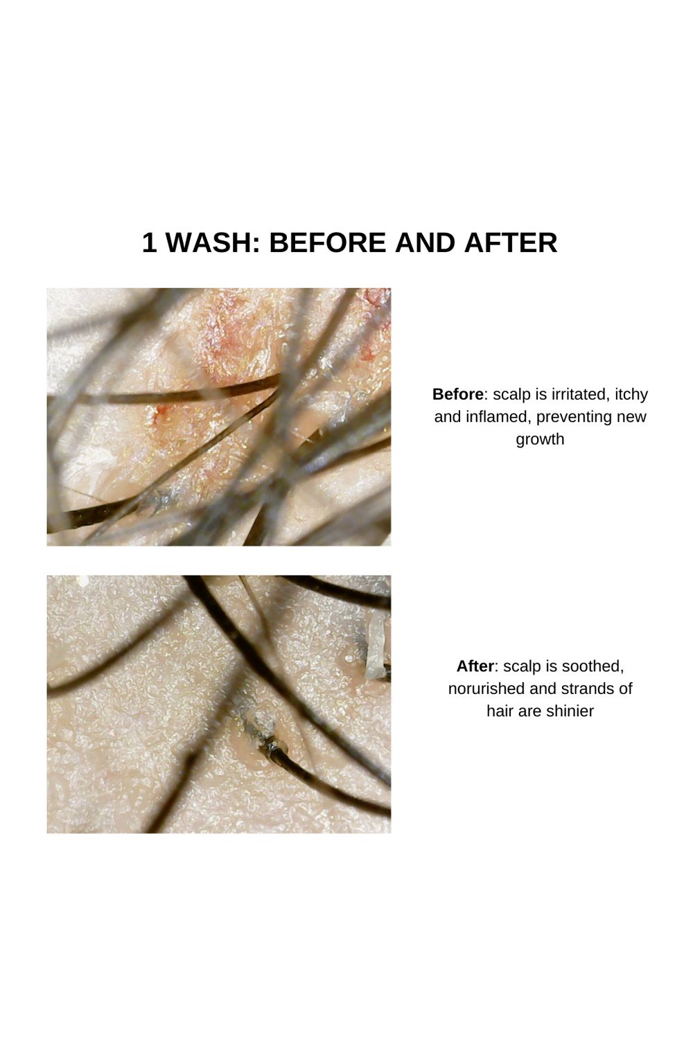 ByErim Rosemary Conditioner Multi image 3