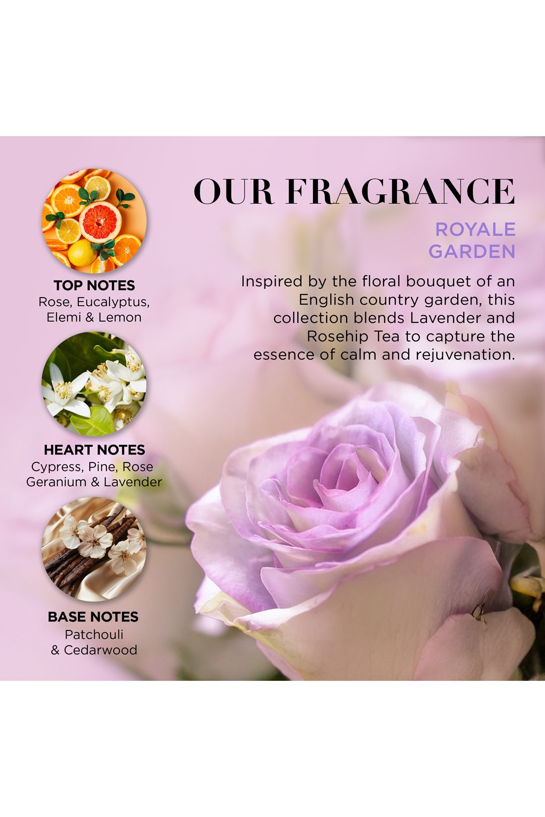 Baylis & Harding Royale Garden Indulgent Bathing Gift Set Multi image 5