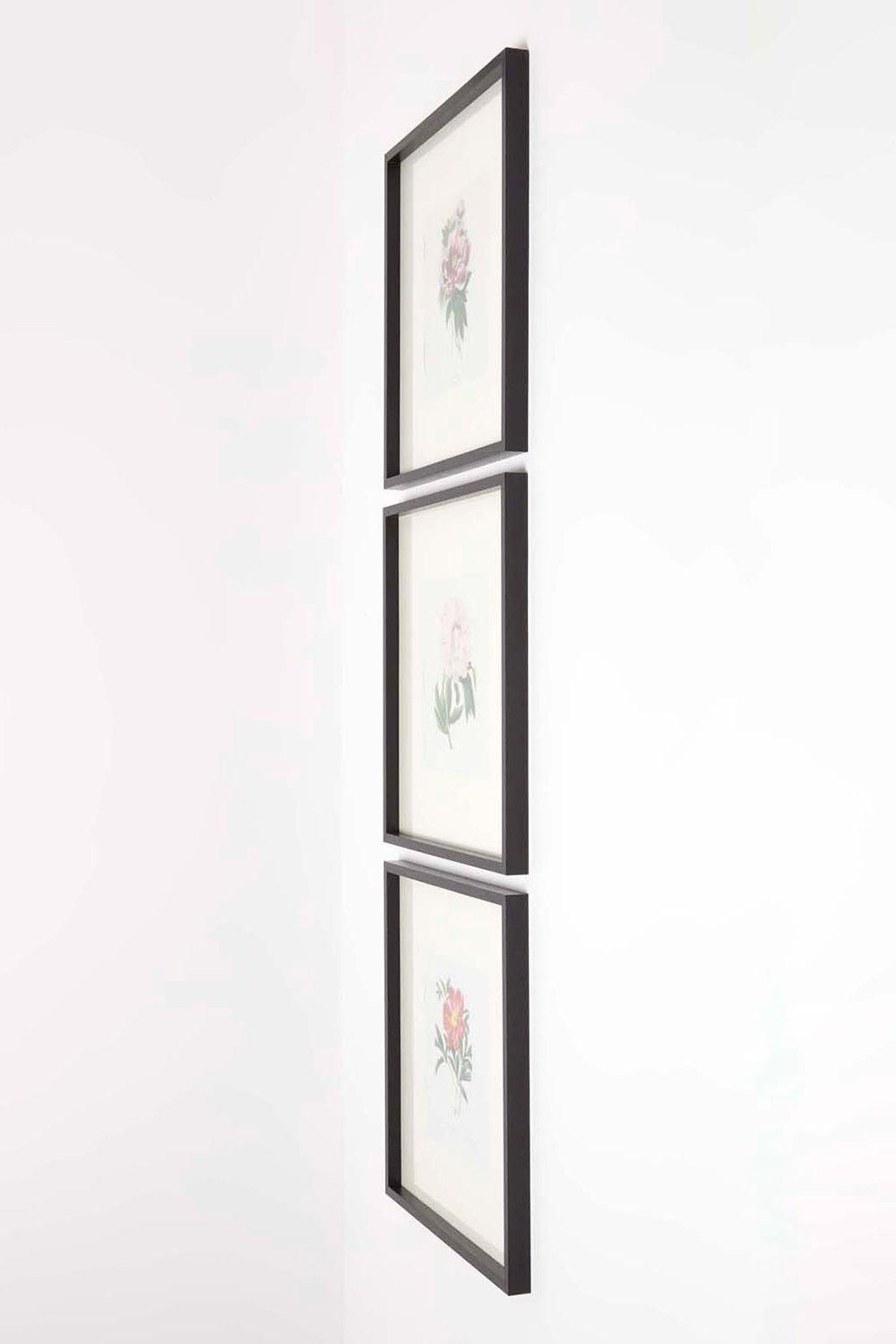 Homescapes Wall Decoration Set of 3 Frames with Picture, Peonies image 5