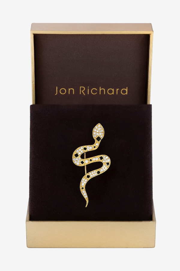 Jon Richard Gold Plated Crystal and Jet Snake Brooch - Gift Box