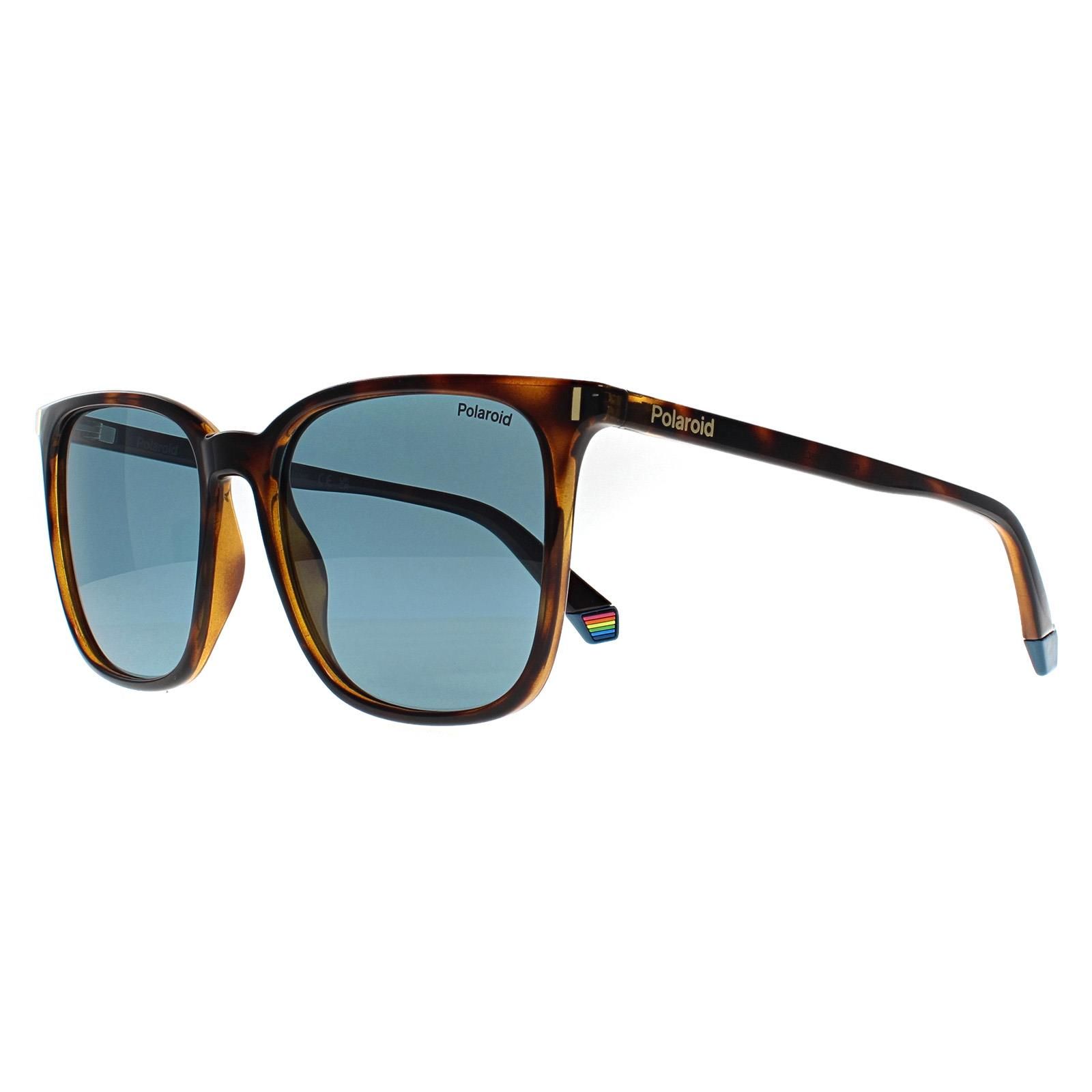 Polaroid Square Havana Blue Polarized PLD 6226/S image 2