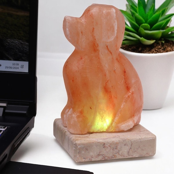 KDMD USB Dog Shaped (Multi)