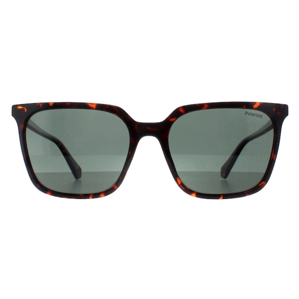 Polaroid Square Havana Green Polarized PLD 4163/S