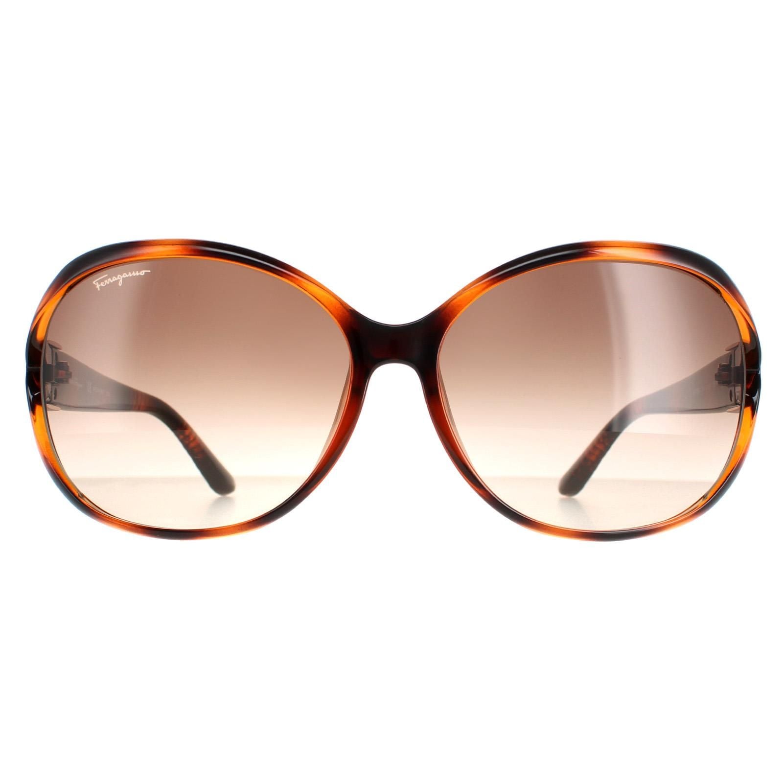 Salvatore Ferragamo Oval Tortoise Brown Gradient SF770SA image 1