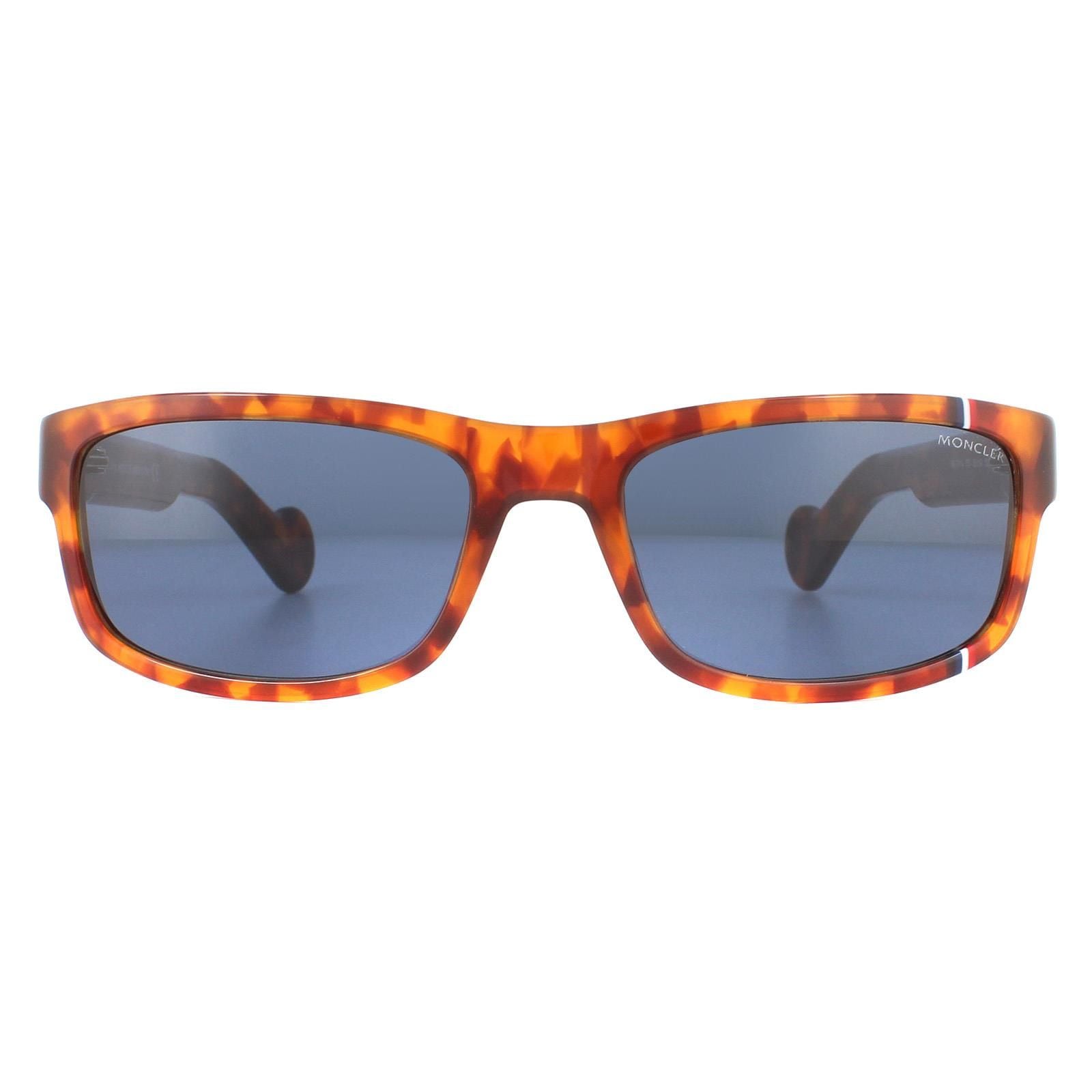 Moncler Rectangle Havana Blue Sunglasses image 1