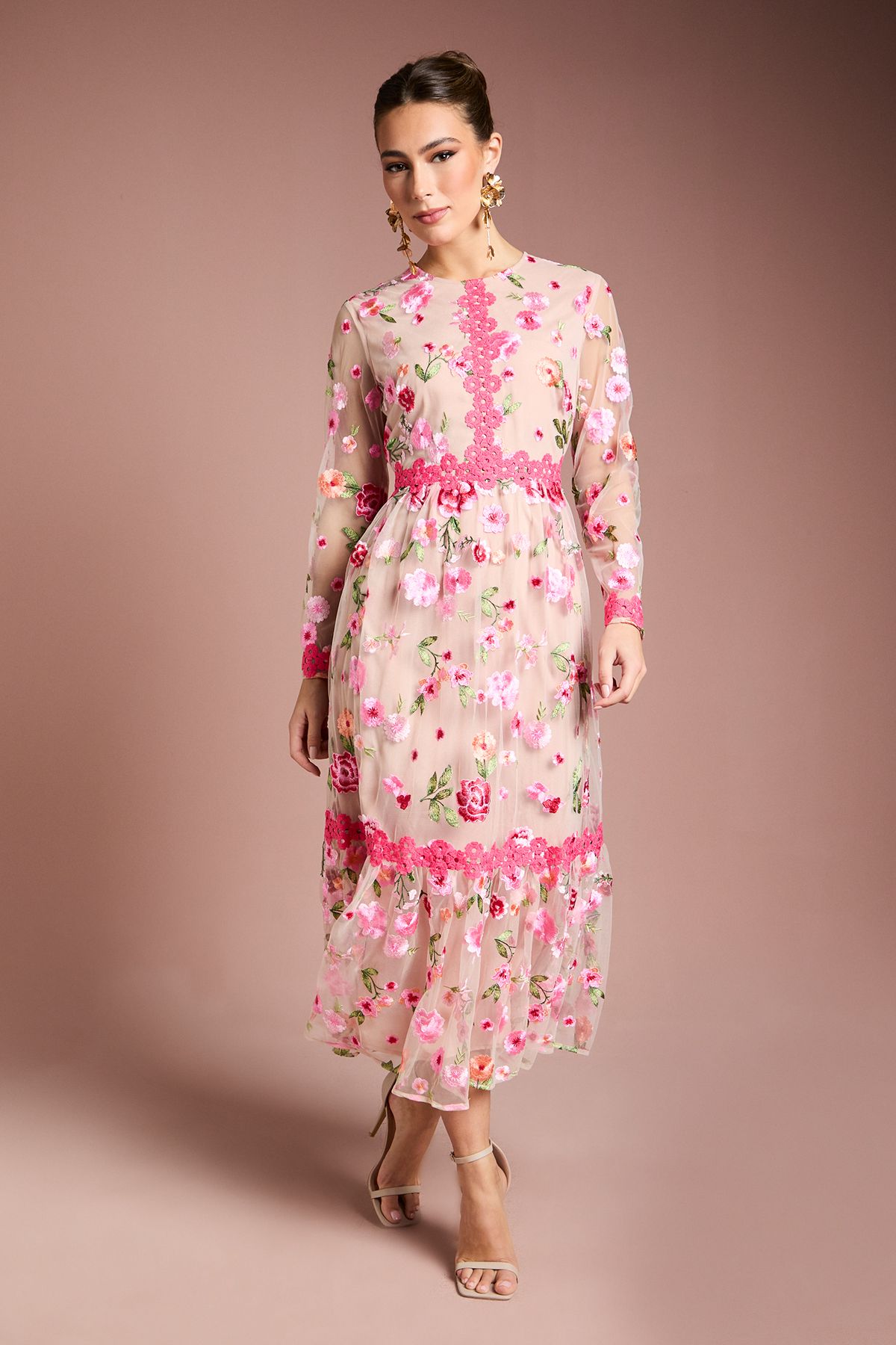 Coast Embroidered Floral Maxi Dress Nude image 1