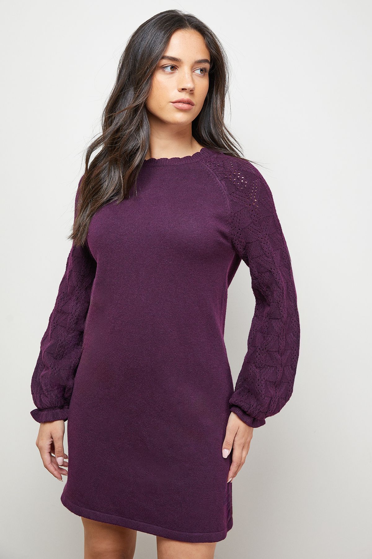 Oasis Slash Neck Sleeve Detail Jumper Dress Plum image 4