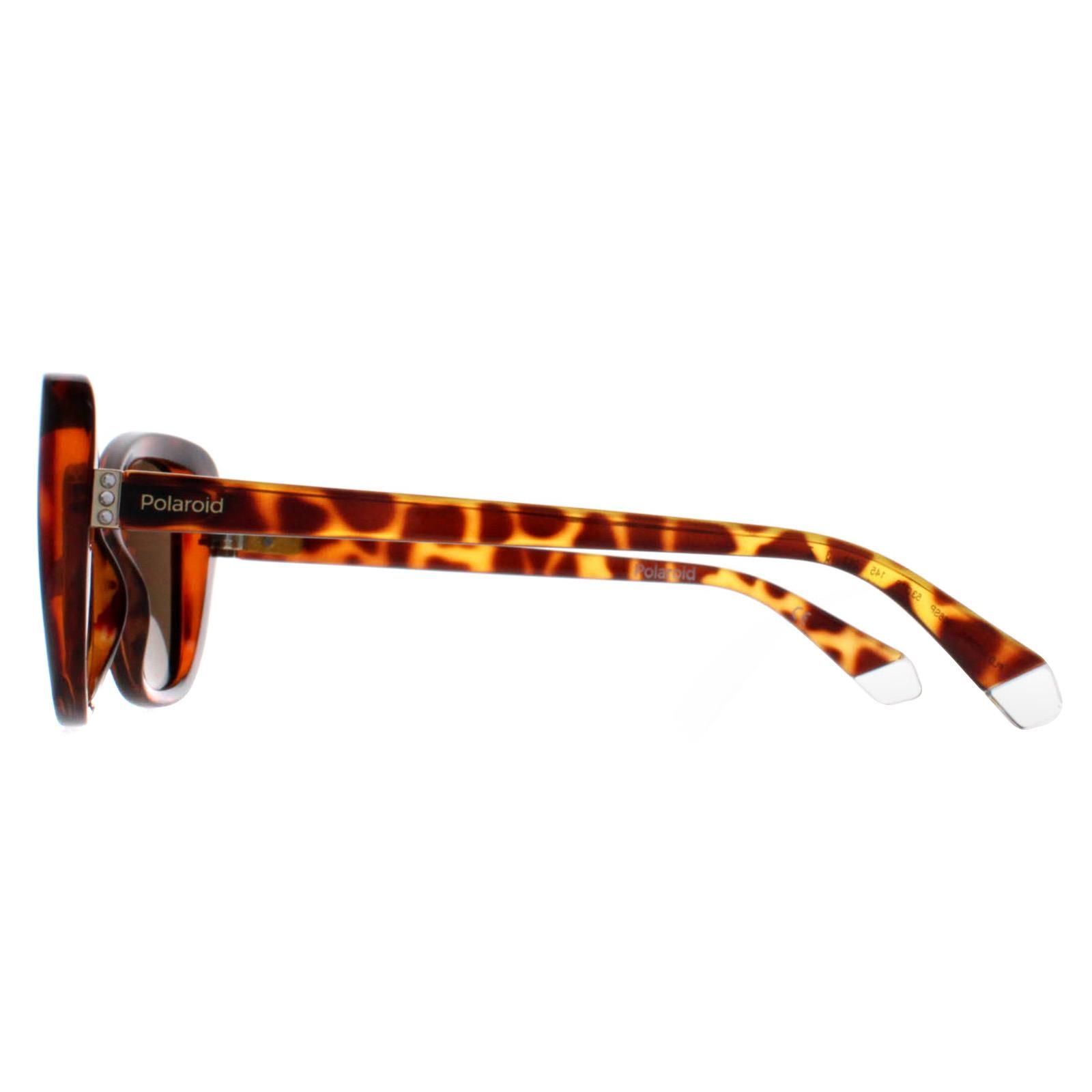 Polaroid Butterfly Havana Bronze Polarized PLD 4132/S image 3