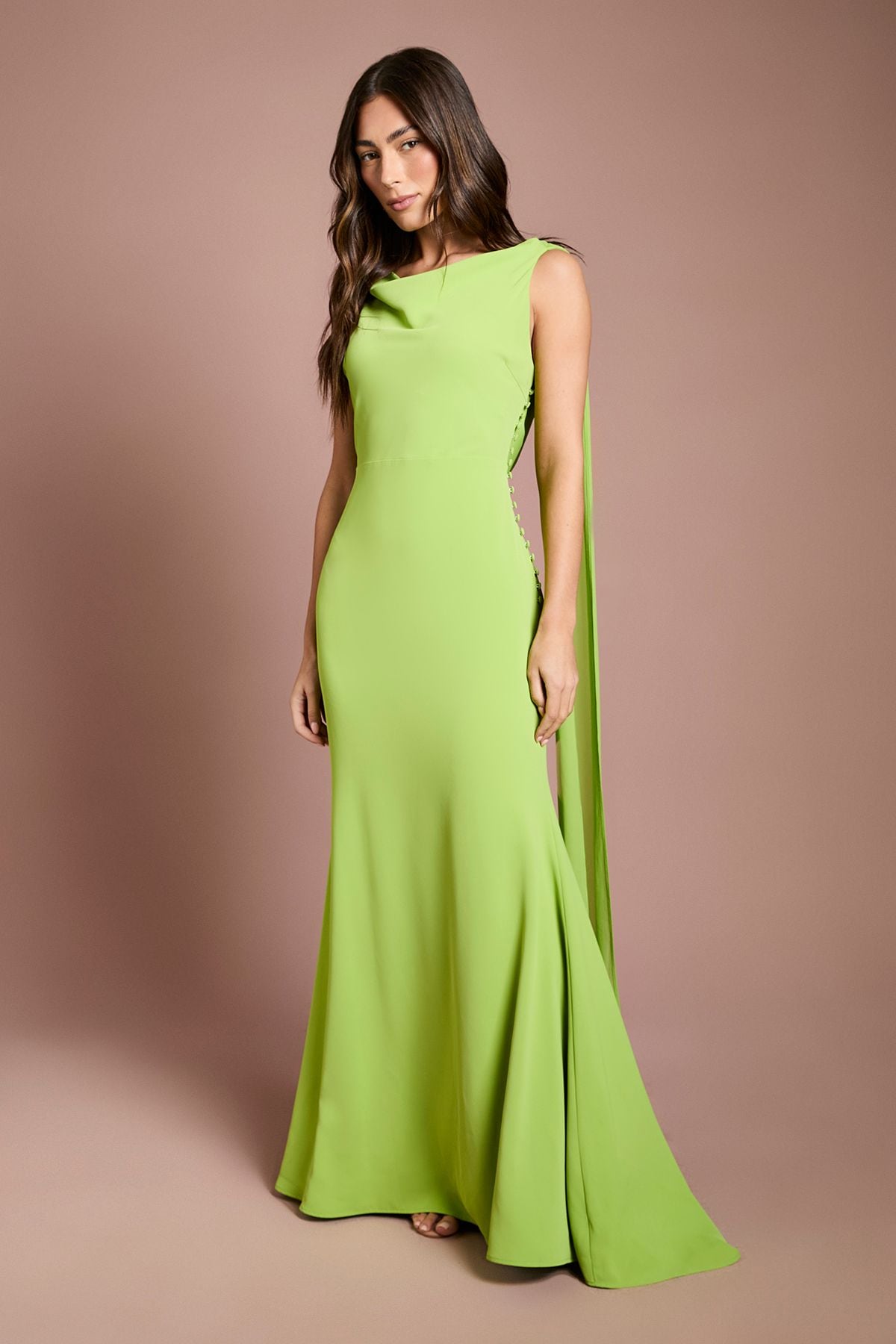 Coast Chiffon Detail Cowl Back Crepe Maxi Dress Lime