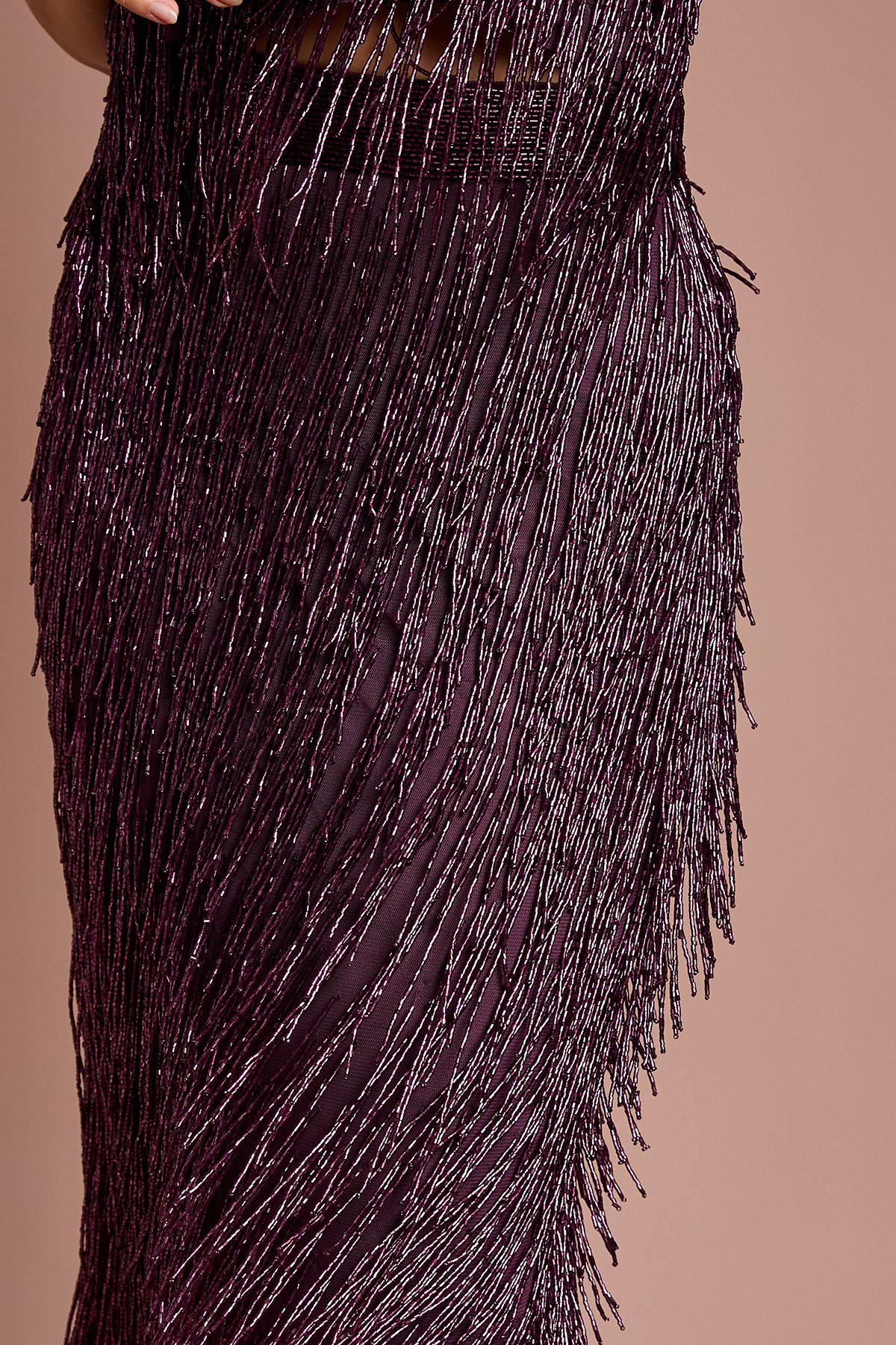 Coast Petite Fringe Embellished Midi Skirt Plum image 4