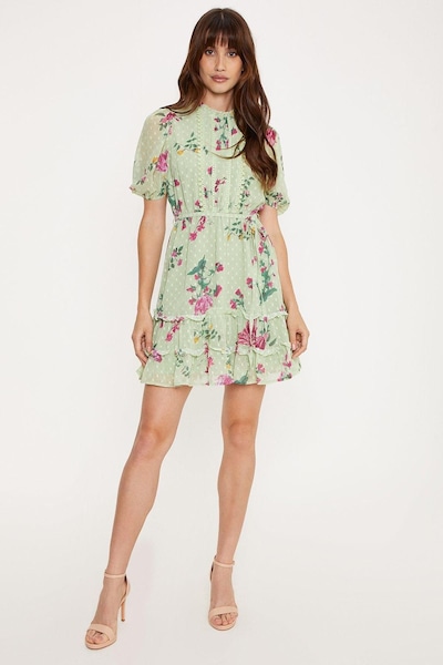 Oasis Lace Trim Floral Chiffon Skater Dress Sage