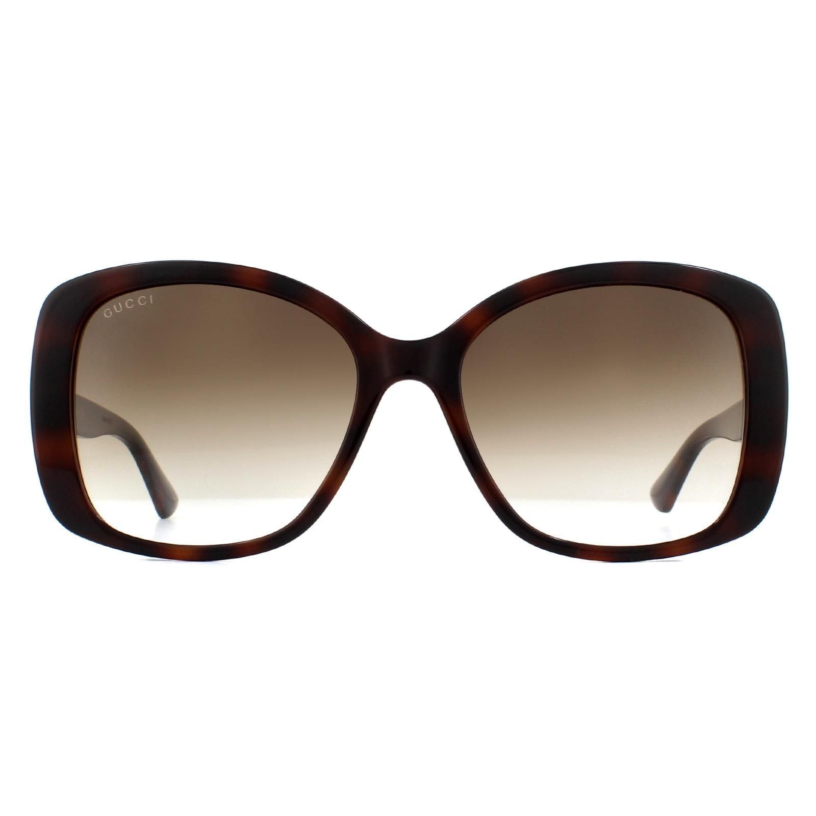 Gucci Butterfly Havana Brown Gradient GG0762S Sunglasses