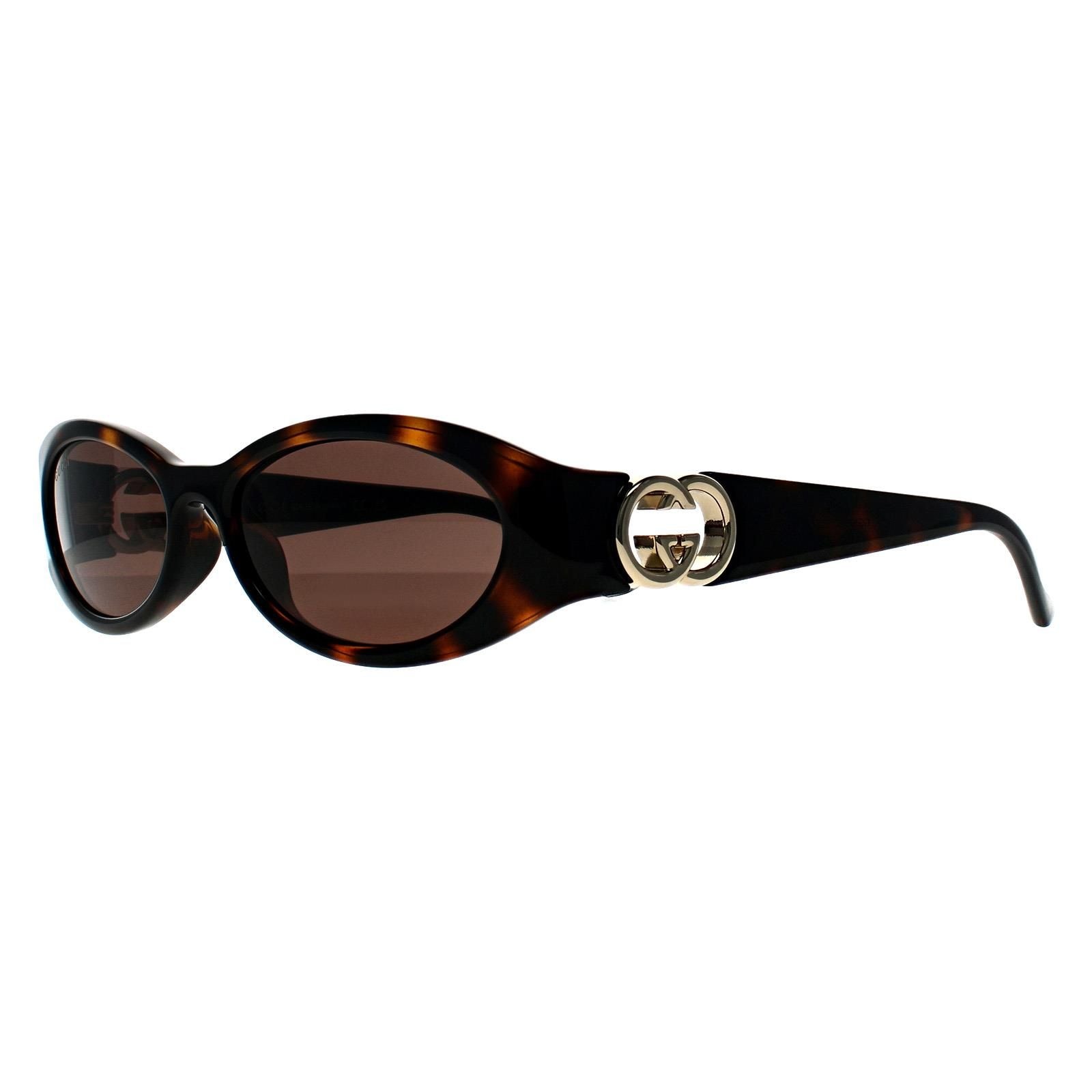 Gucci Oval Shiny Dark Havana Dark Brown GG1660S image 2
