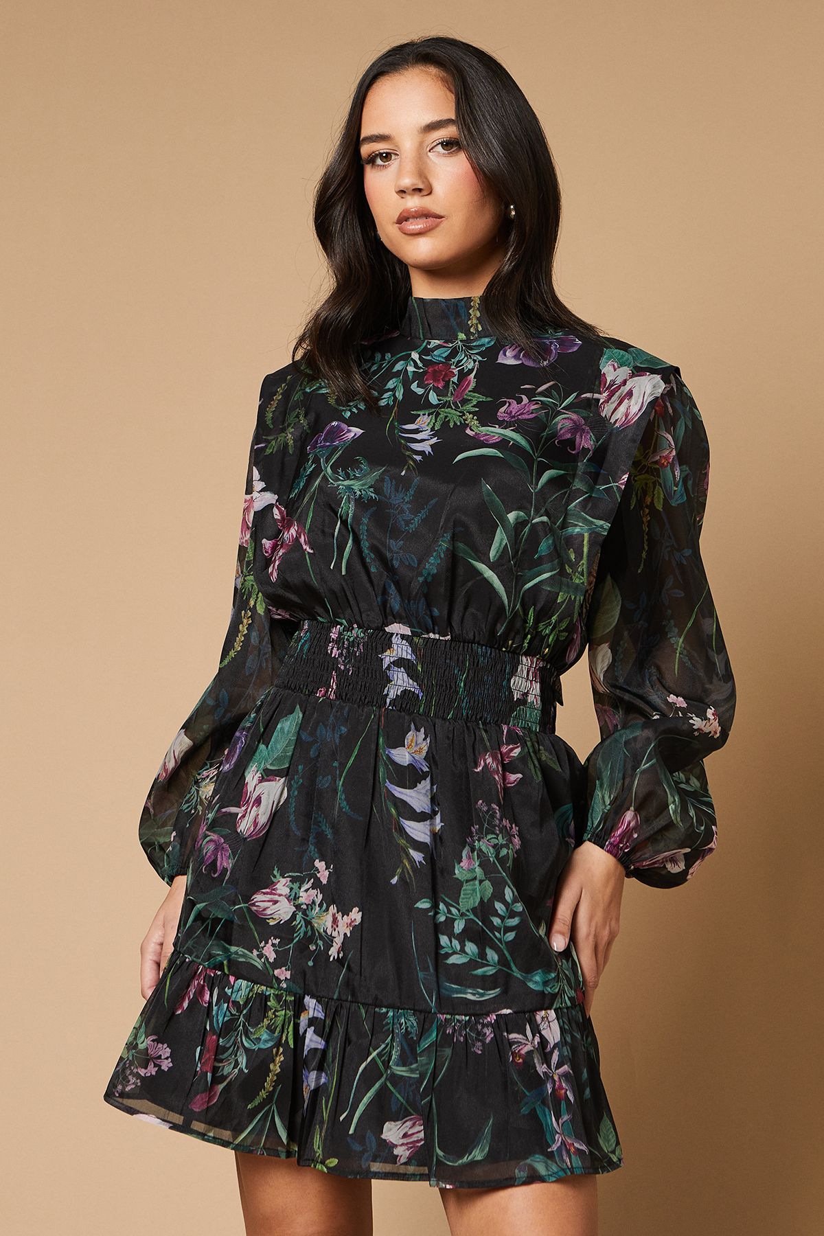 Oasis Border Print Organza Shirred Waist Tie Back Mini Dress Black image 4