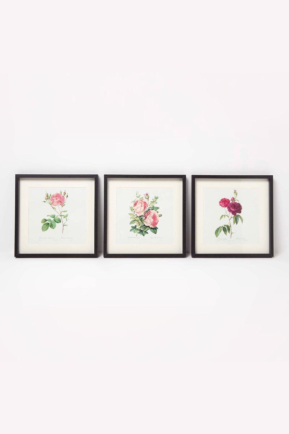 Homescapes Wall Decoration Set of 3 Frames with Picture, Roses image 1
