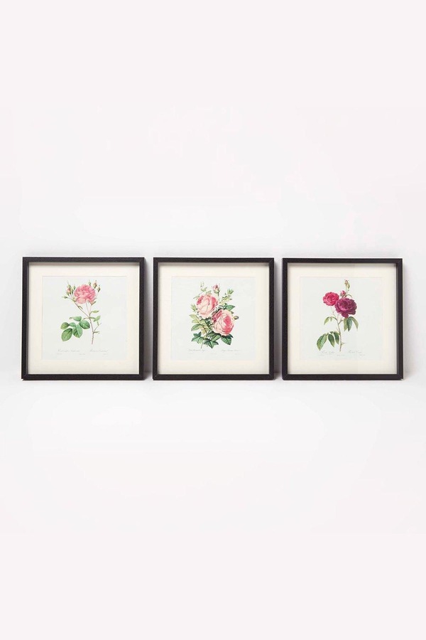 Homescapes Wall Decoration Set of 3 Frames with Picture, Roses