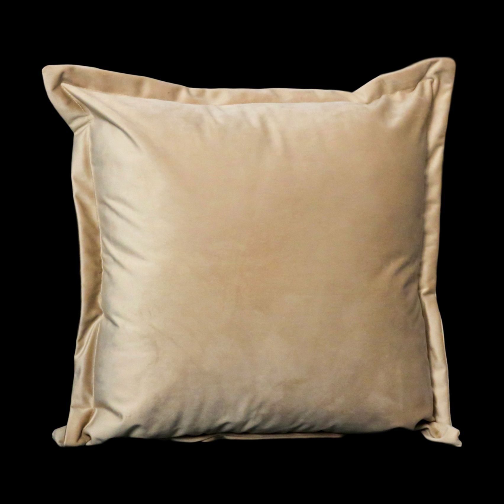 Native Home & Lifestyle Beige Velvet Cushion Cover image 2