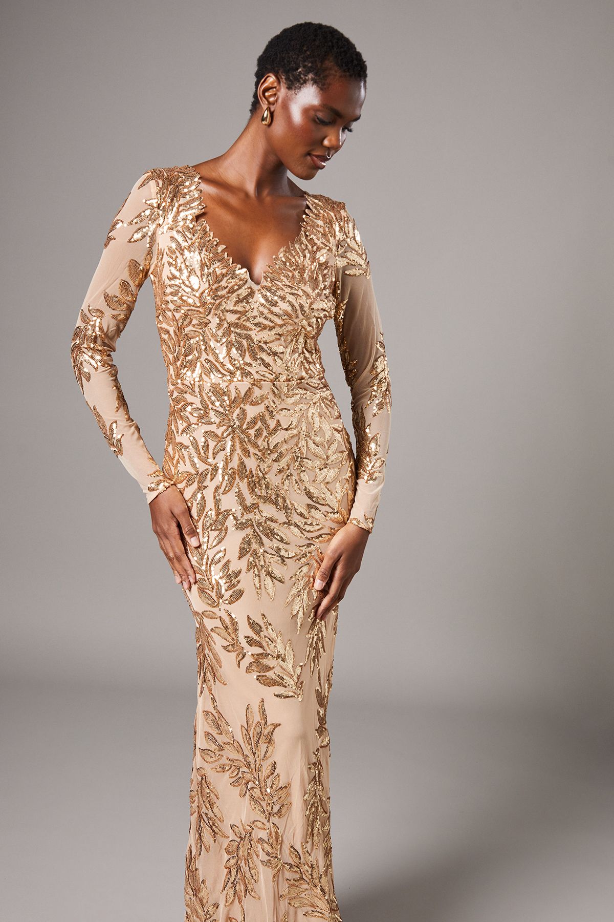 Coast Long Sleeve Floral Sequin Maxi Dress Gold image 2