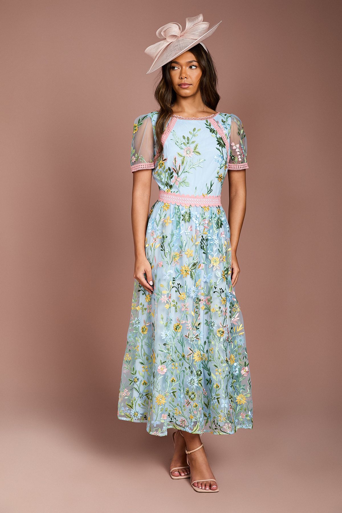 Coast Lace Trim Detail Embroidered Mesh Midi Dress Yellow image 1