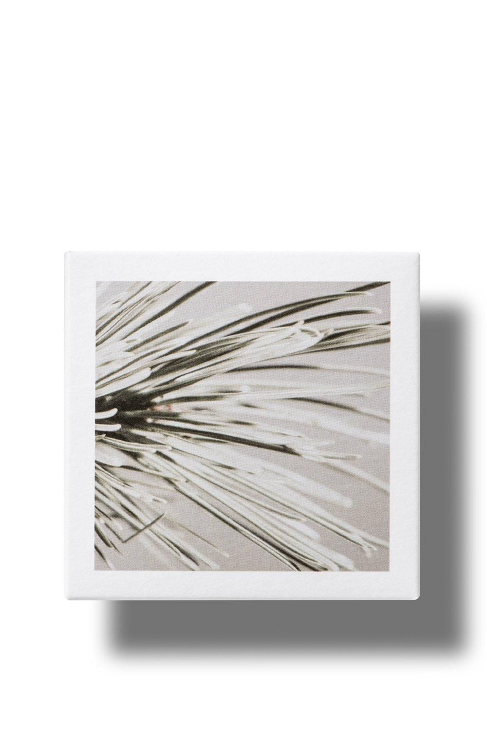 Korres White Pine Meno-reverse Restorative Overnight Facial Misc image 5