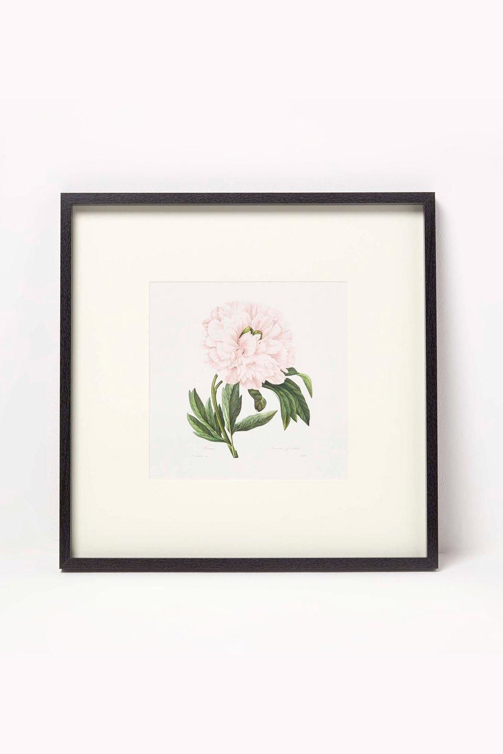 Homescapes Wall Decoration Set of 3 Frames with Picture, Peonies image 3