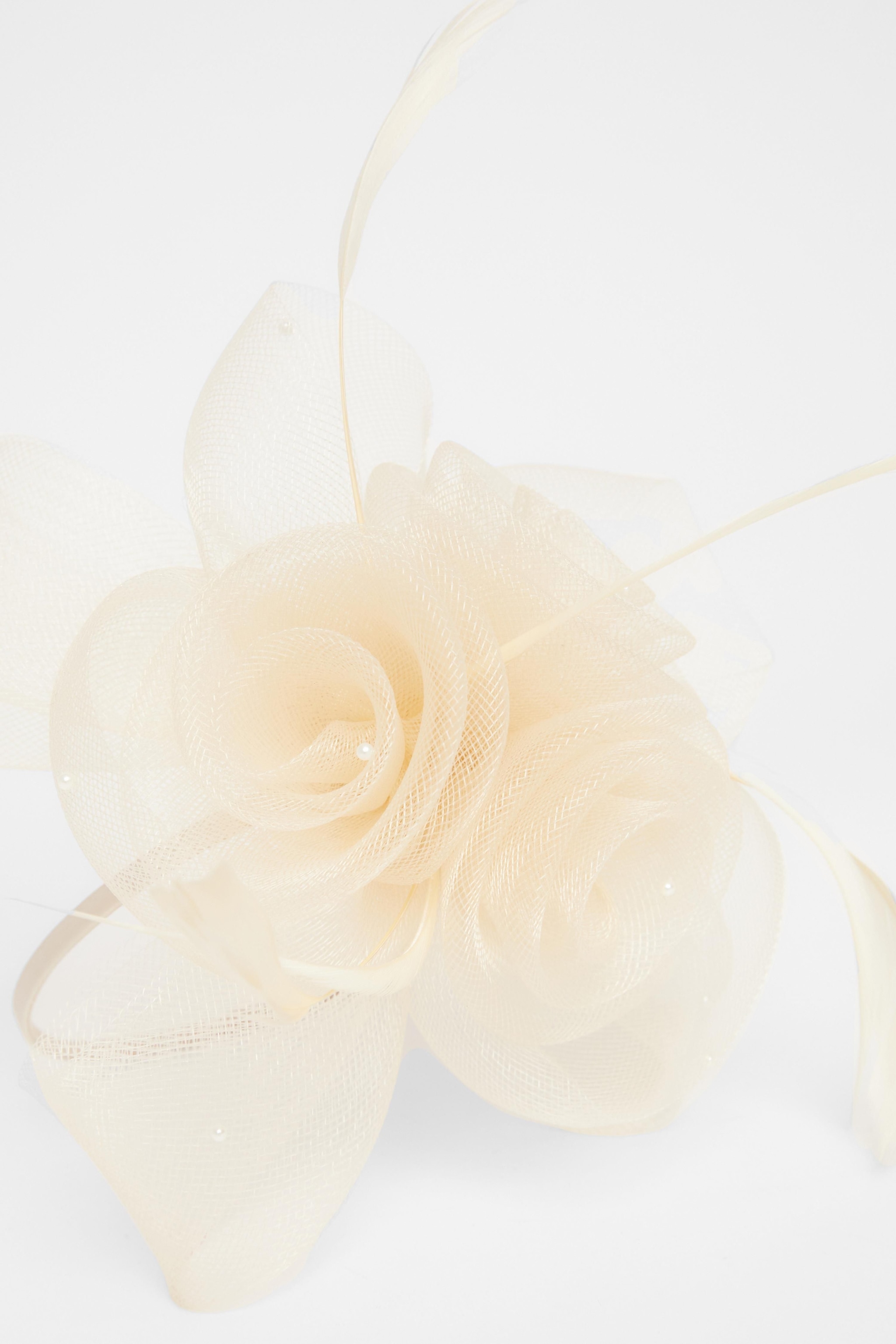 Quiz Off White Flower Headband Fascinator image 3