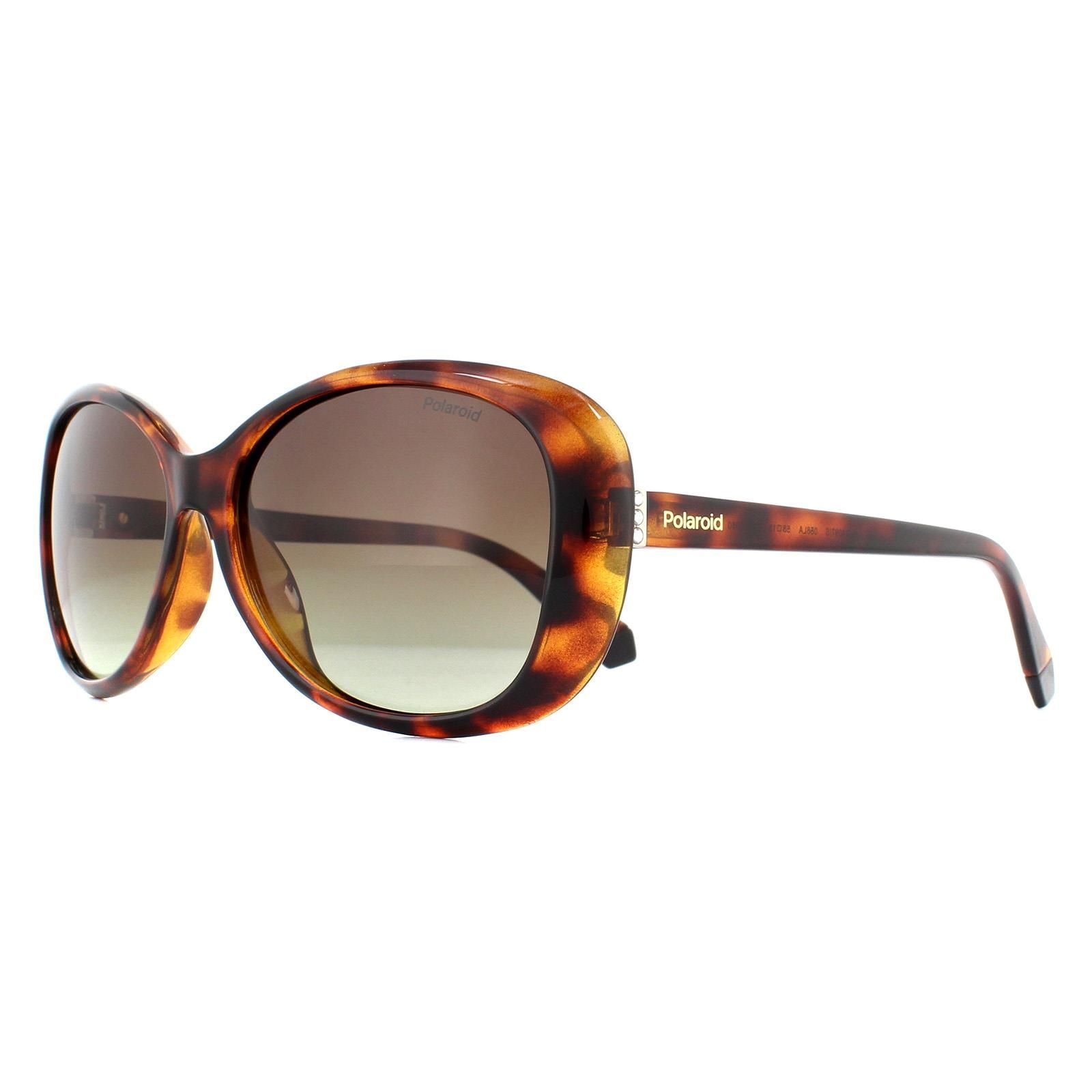 Polaroid Fashion Havana Brown Gradient Polarized Sunglasses image 2