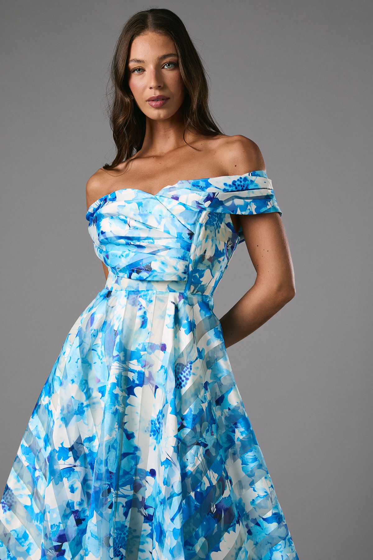 Coast Stripe Organza Pleated Top Floral Print Midi Dress Blue image 2