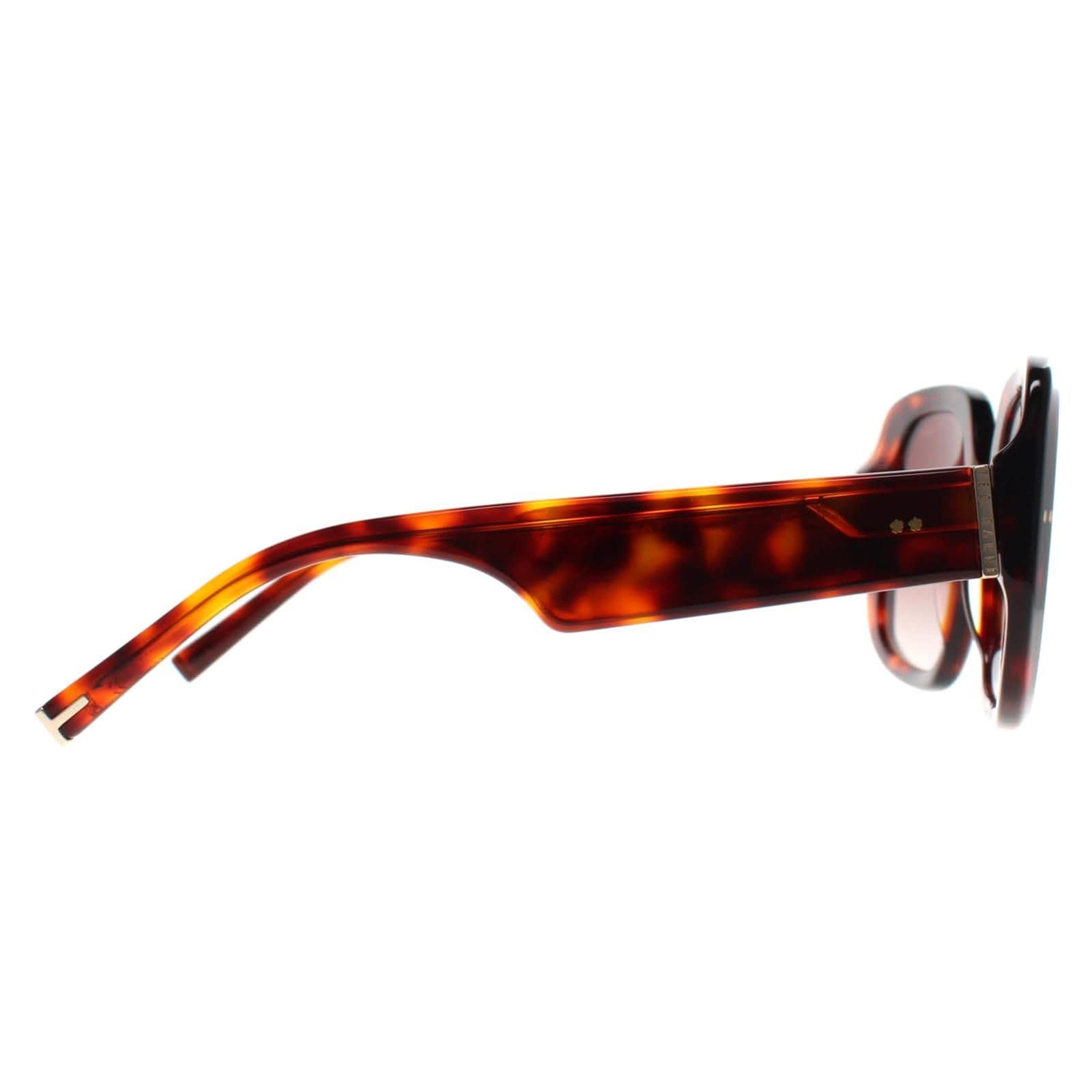 Ted Baker Square Tortoise Brown Gradient TB1730 Catrina image 4
