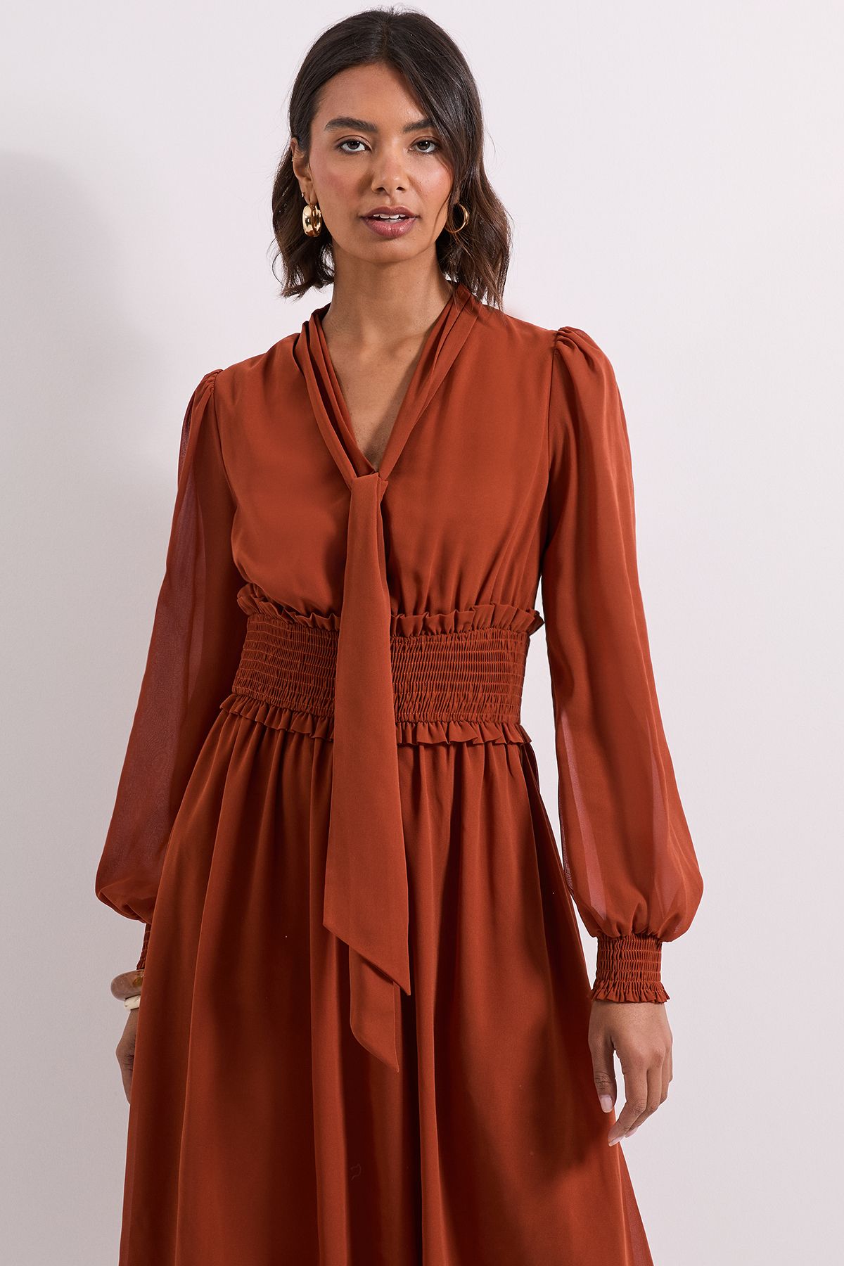 Dorothy Perkins Bow Tie Neck Detail Shirred Waist Midi Dress Brown image 2