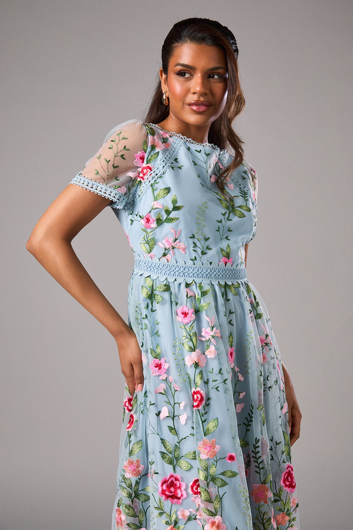 Coast Petite Embroidered Mesh Midi Dress With Lace Trim Blue image 2