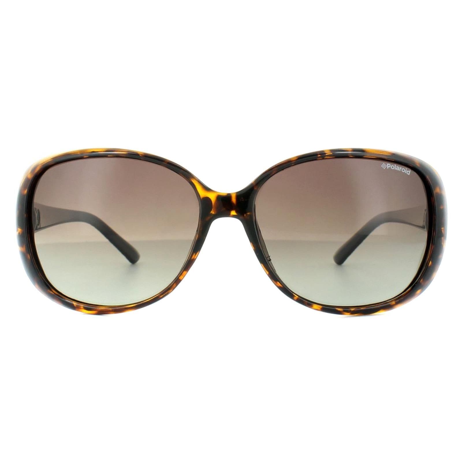 Polaroid Fashion Havana Black Brown Gradient Polarized Sunglasses image 1