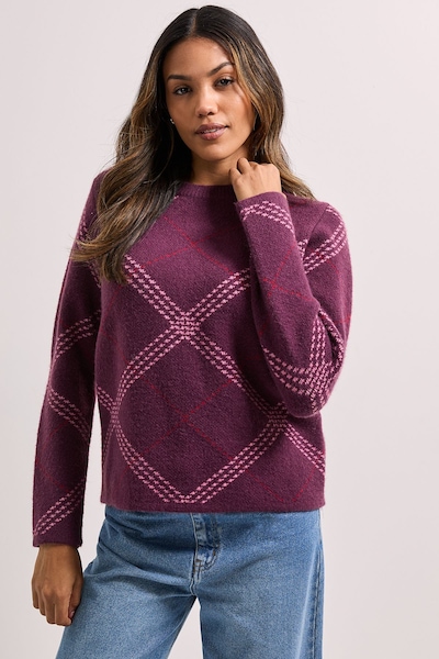 Dorothy Perkins Berry Argyle Jumper Berry