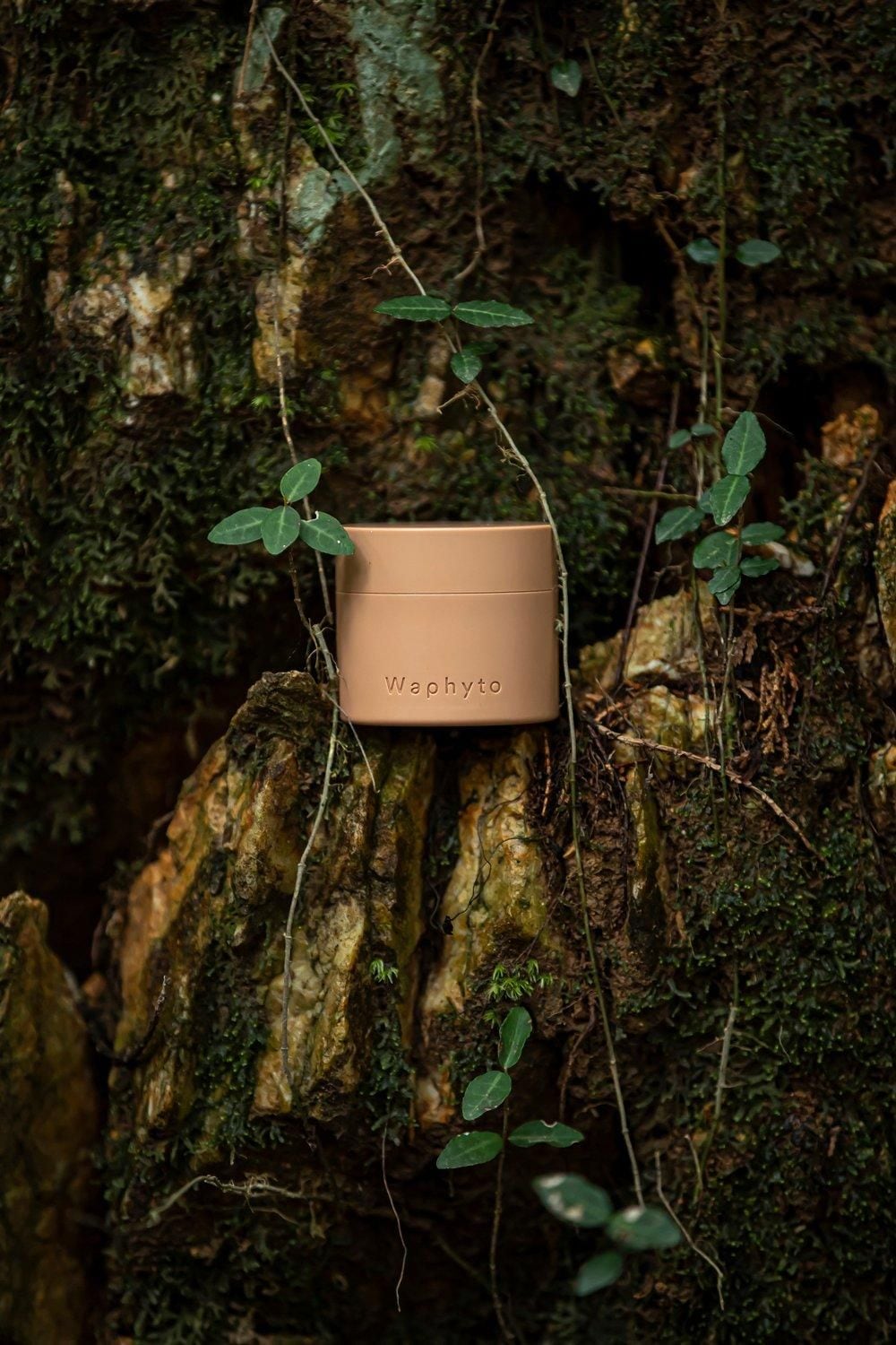 Waphyto Regena Enriched Cream Multi image 9