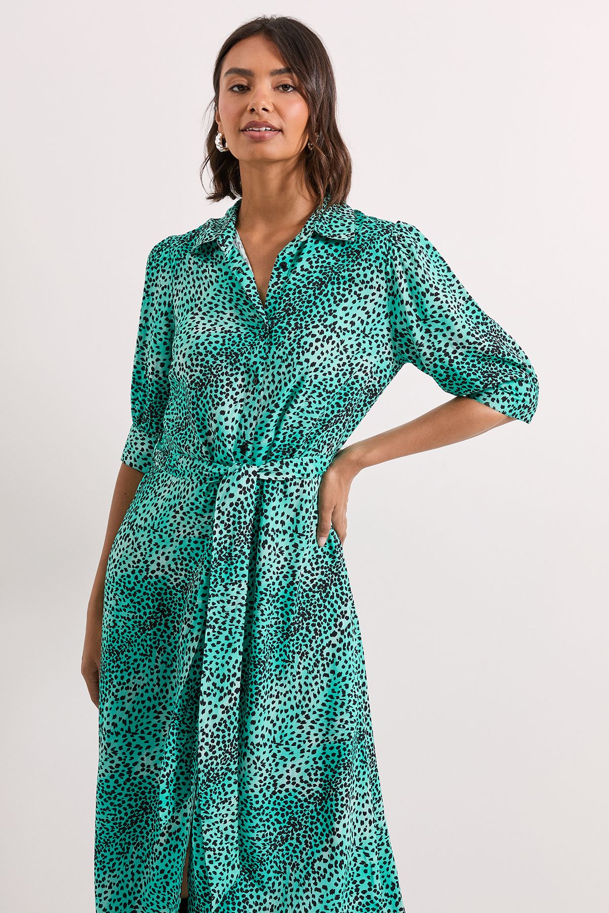 Dorothy Perkins Blue Animal Midi Shirt Dress Animal image 2