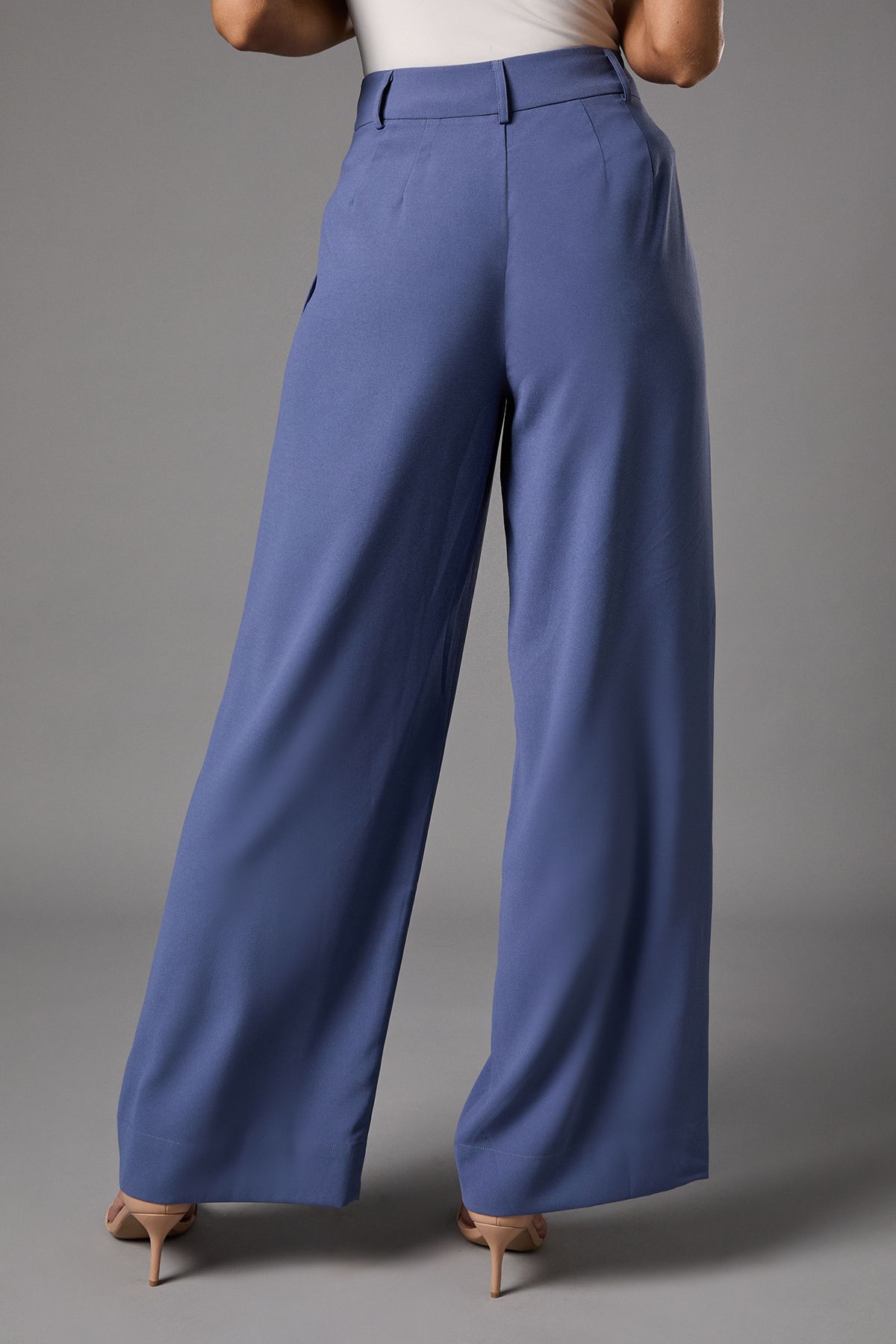 Coast Pleat Front Wide Leg Trouser Blue image 3