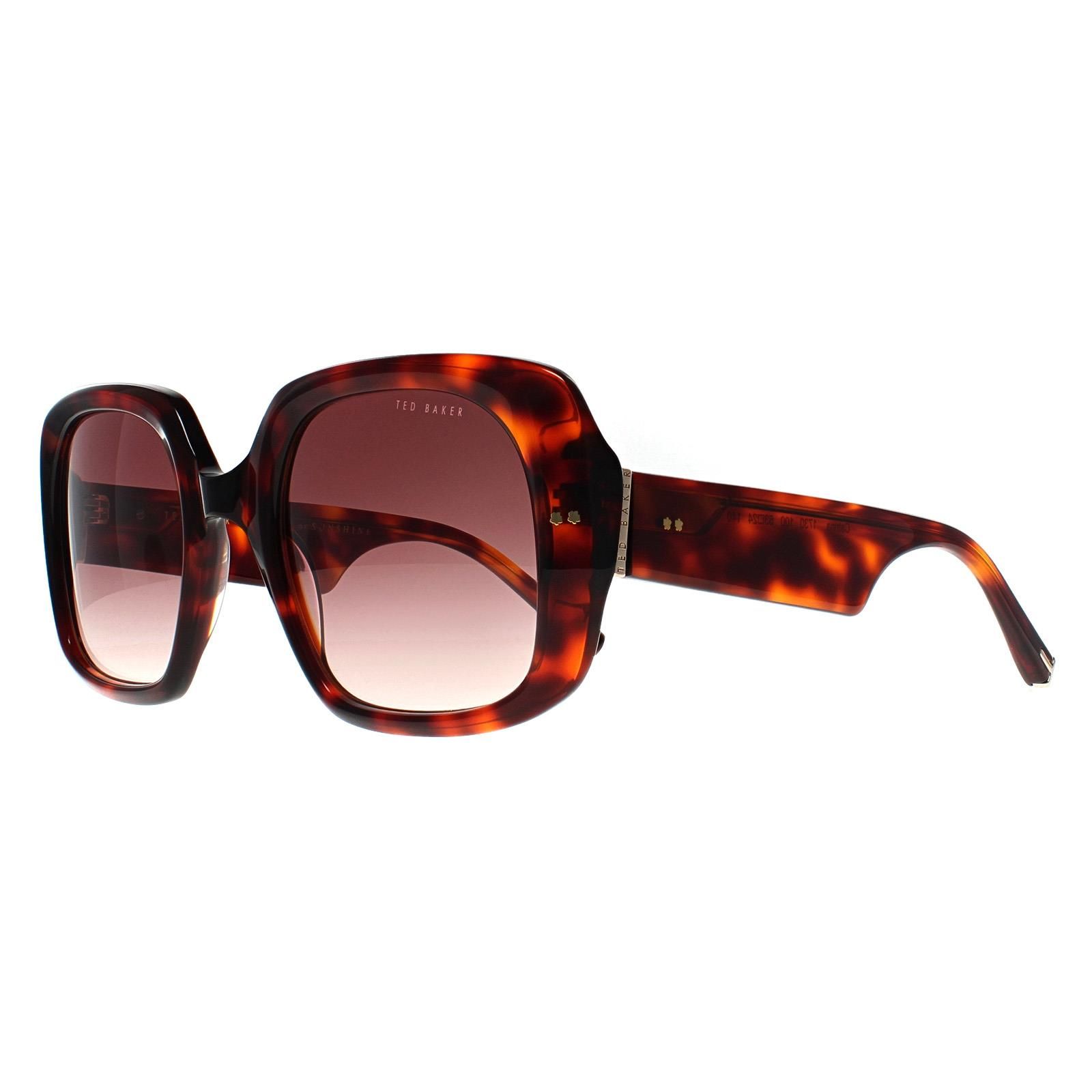 Ted Baker Square Tortoise Brown Gradient TB1730 Catrina image 2