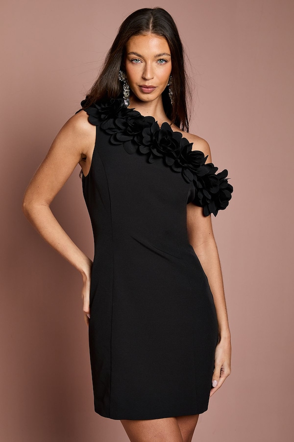 Coast 3D Floral One Shoulder Mini Dress Black