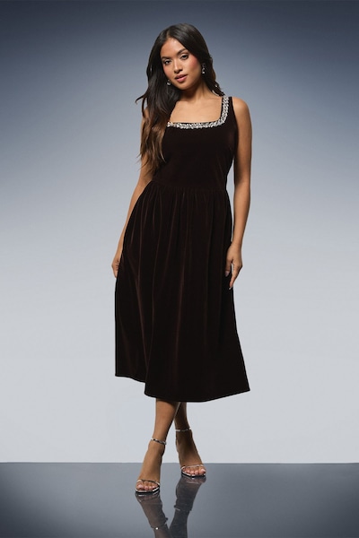 Dorothy Perkins Petite Velvet Embellished Neckline Structured Midi Dress Chocolate