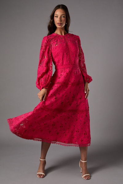 Coast Lace Panelled Long Sleeve Dress Raspberry