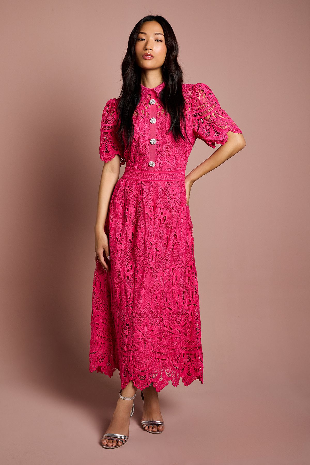 Coast Short Sleeve Collared Lace Midi Dress Raspberry