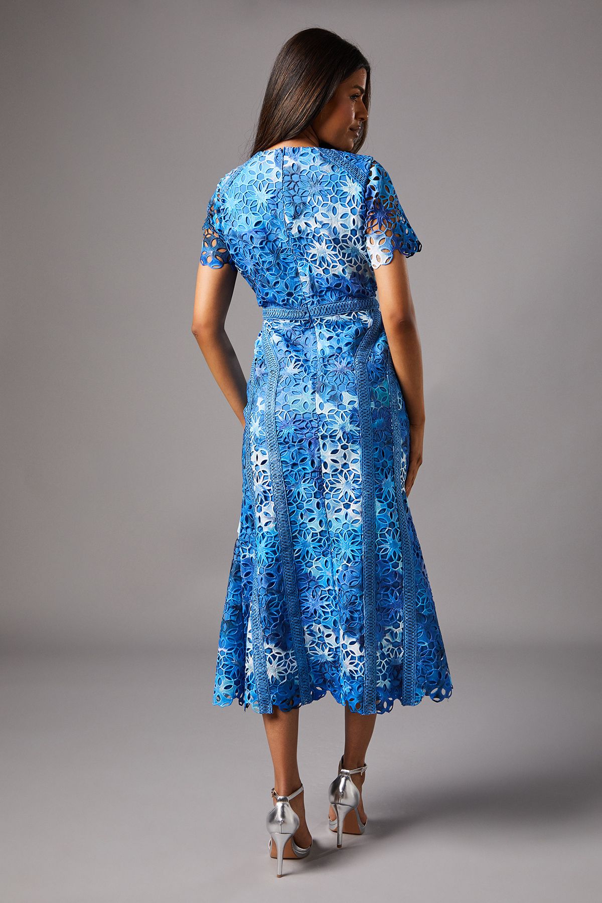 Coast Petite Printed Lace Midi Pencil Dress Blue image 4