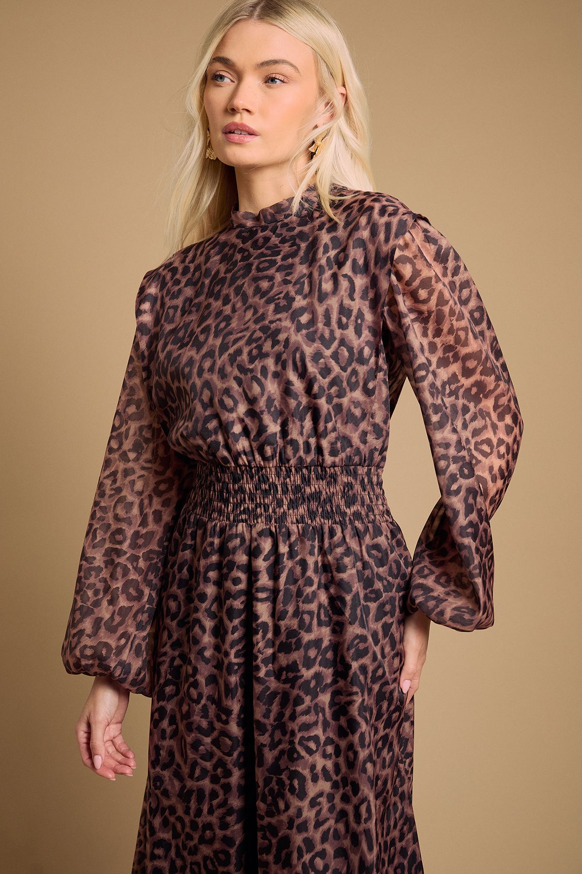 Oasis Floral Organza Shirred Waist Midi Dress Animal image 2