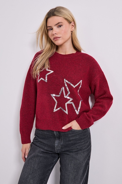 Dorothy Perkins Star Detail Jumper Cranberry