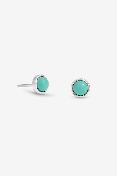 Simply Silver Sterling Silver 925 Polished Turquoise Studs