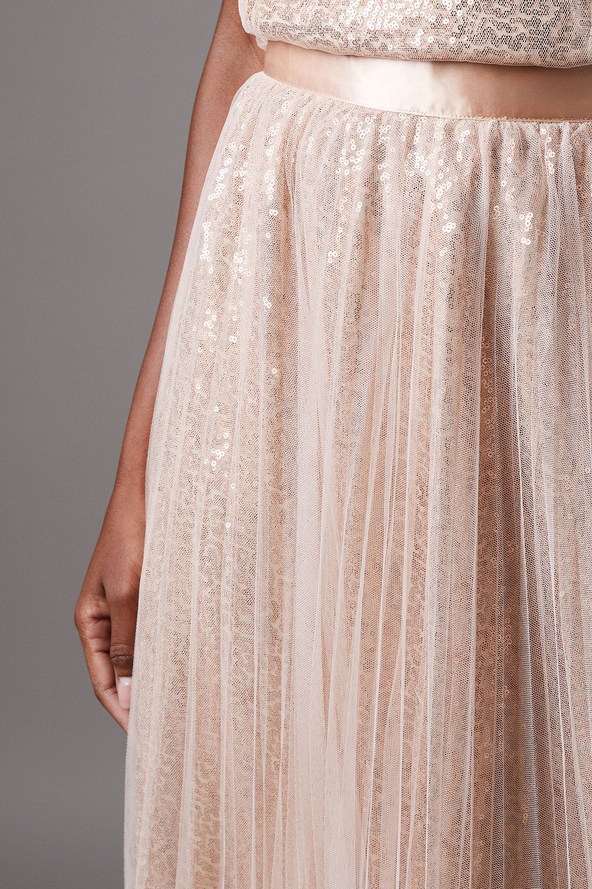Coast Mesh Tulle Skirt Blush image 3