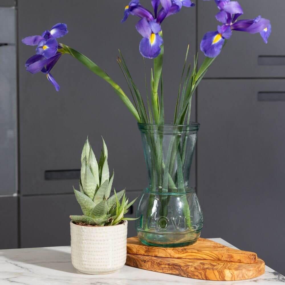 Verano Spanish Ceramics Recycled Glass Kitchen Dining Room Home Décor I Love Nature Vase - 22cm (H) image 4