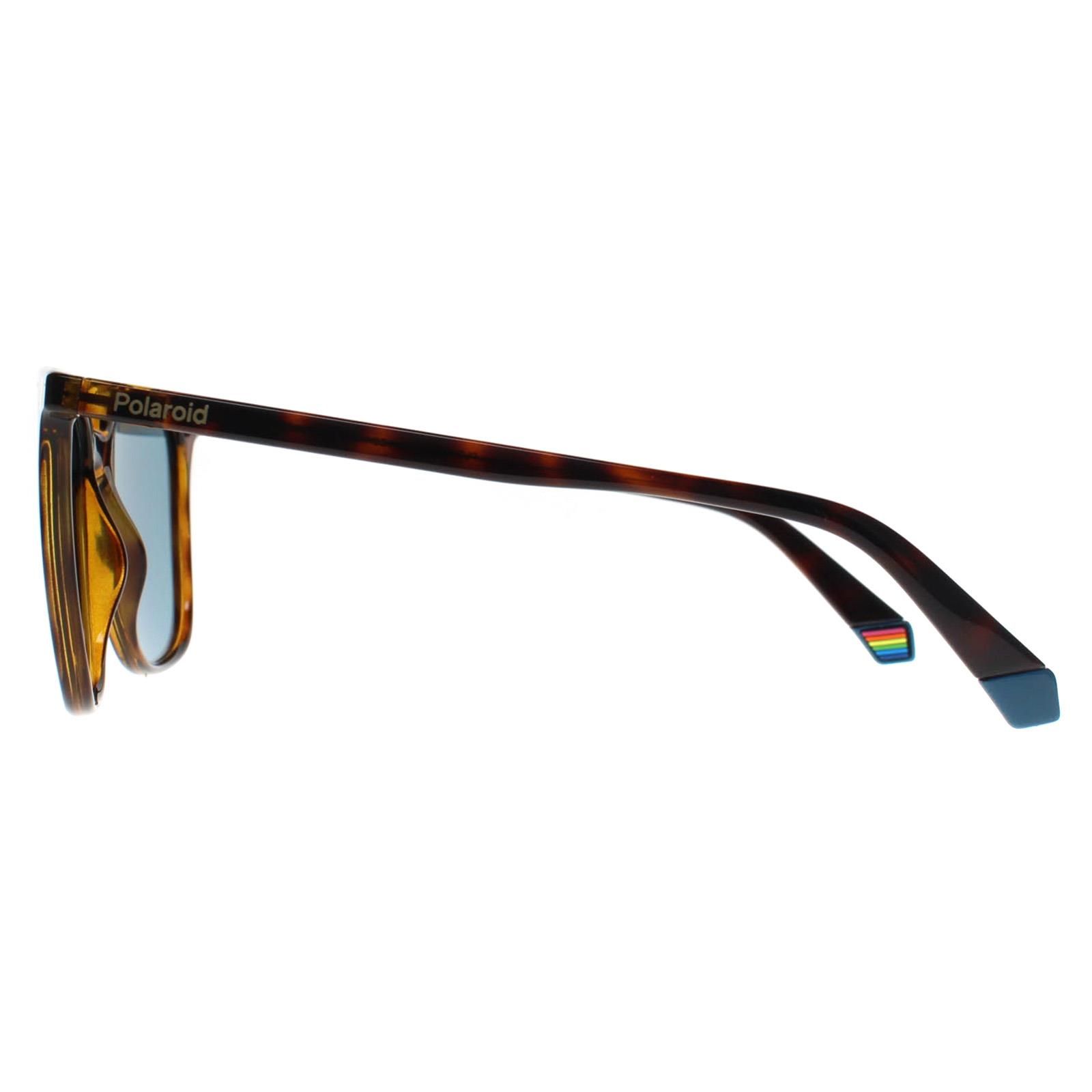 Polaroid Square Havana Blue Polarized PLD 6226/S image 3