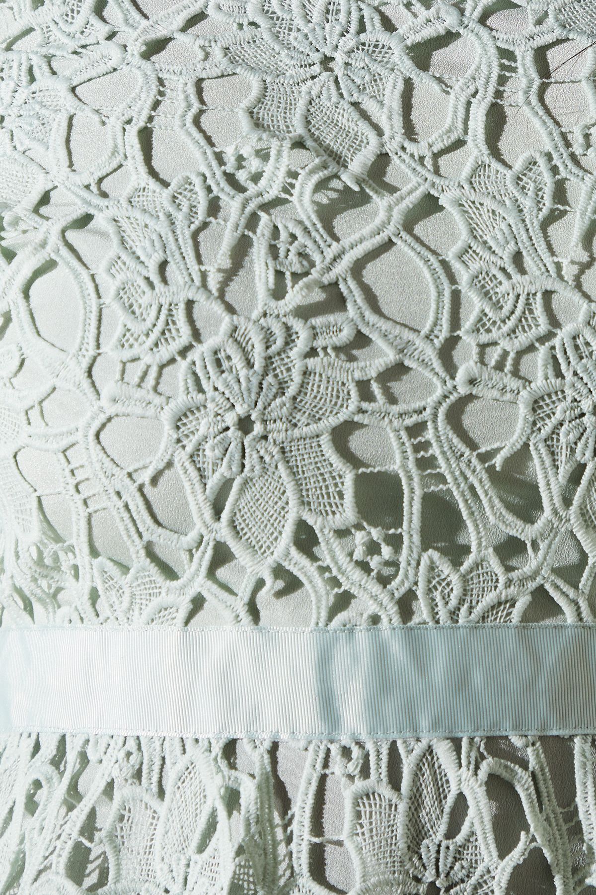 Coast Tiered Lace Midi Dress Sage image 5